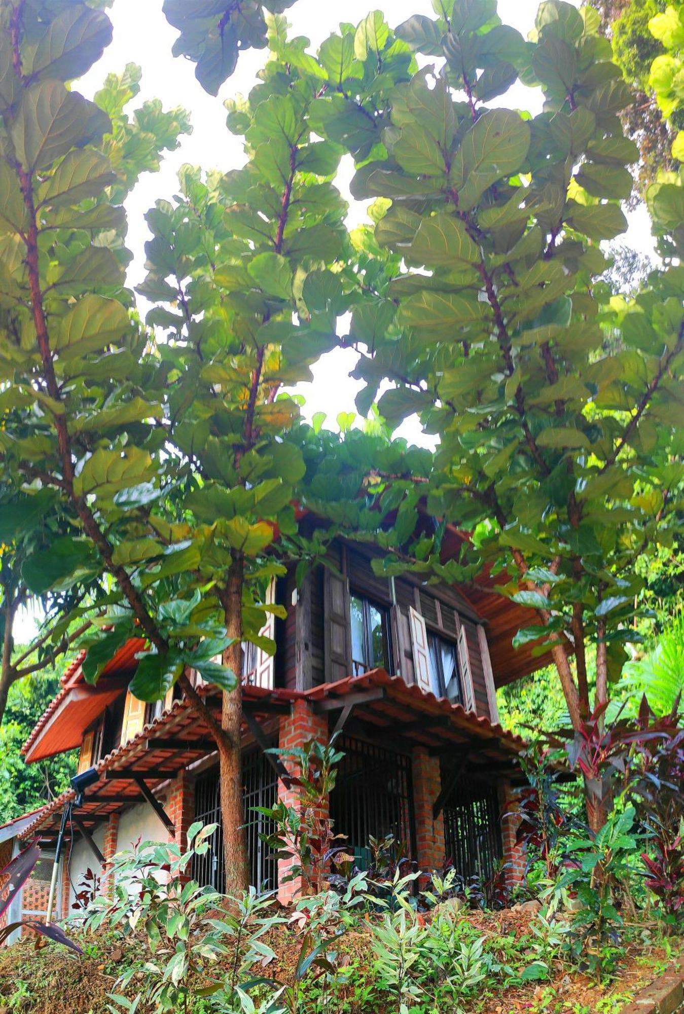 珍南海滩S'Ekar Pinang Langkawi住宿加早餐旅馆 外观 照片