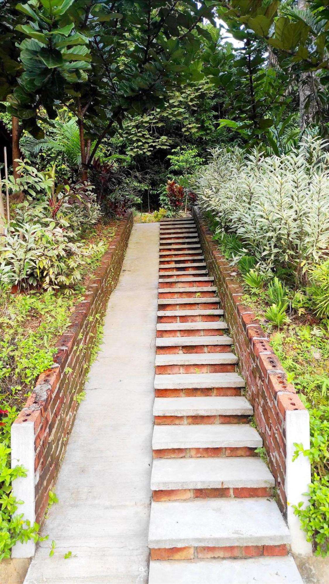 珍南海滩S'Ekar Pinang Langkawi住宿加早餐旅馆 外观 照片