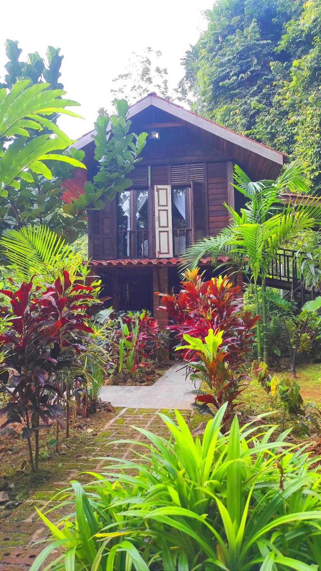 珍南海滩S'Ekar Pinang Langkawi住宿加早餐旅馆 外观 照片